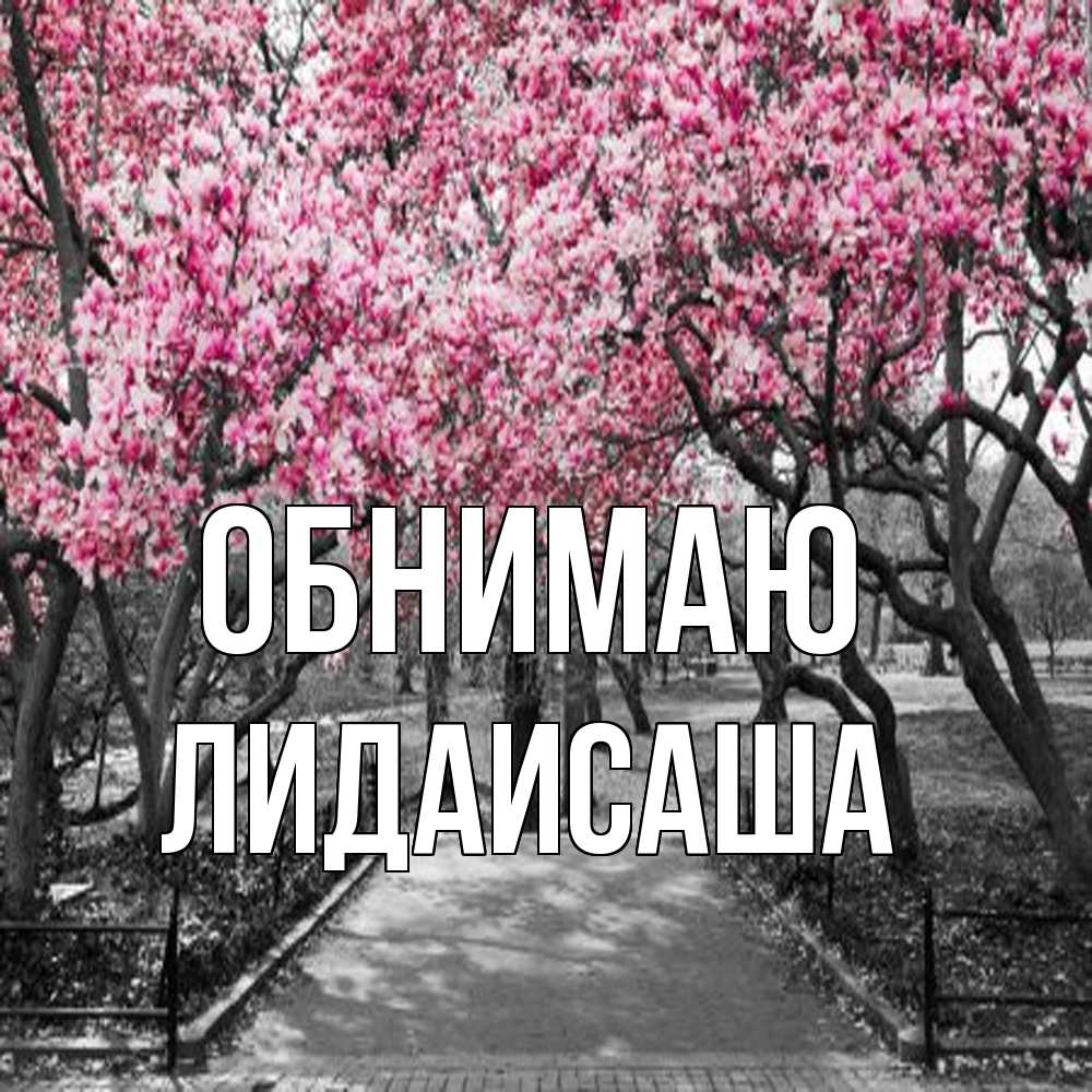 Открытка  с именем. ЛидаИСаша, Обнимаю  