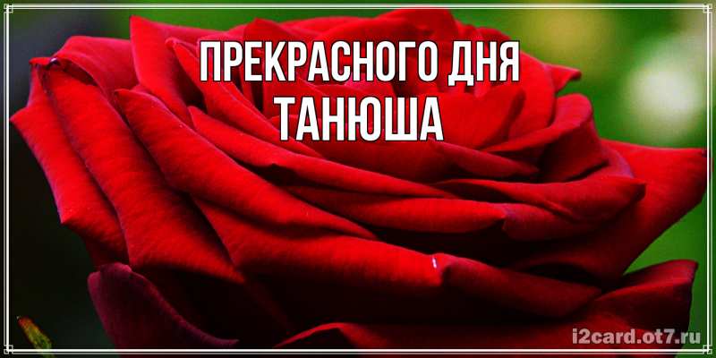 Картинка Прекрасного дня, Танюша