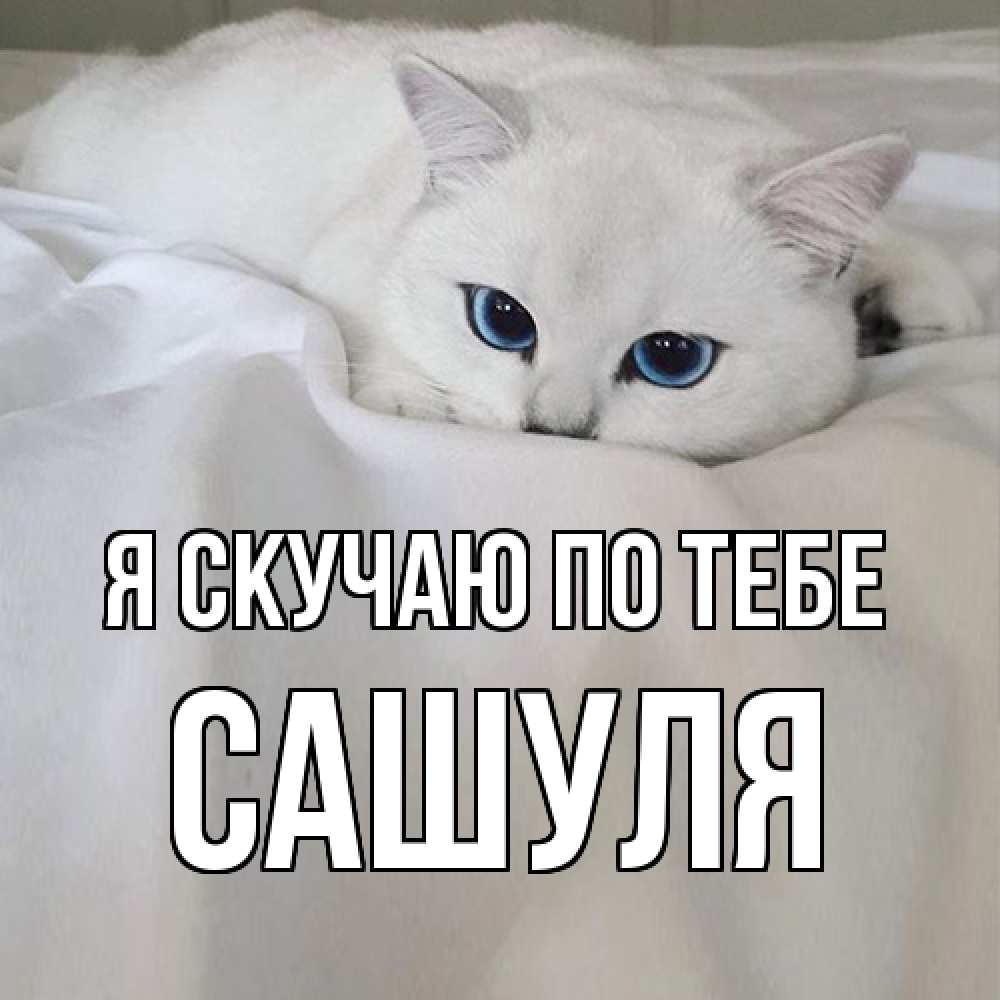 Открытка  с именем. Сашуля, Я скучаю по тебе  