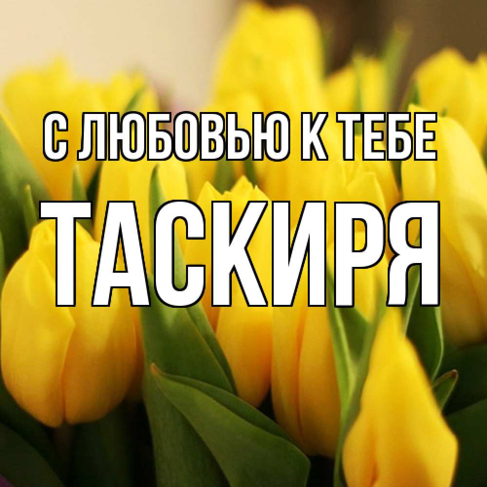 Открытка  с именем. Таскиря, С любовью к тебе  