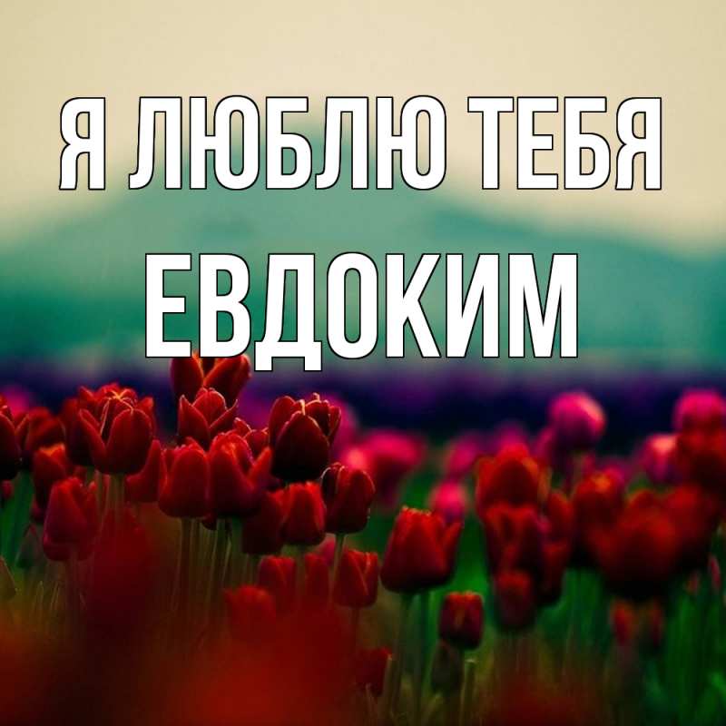 Картинка Я люблю тебя, Евдоким