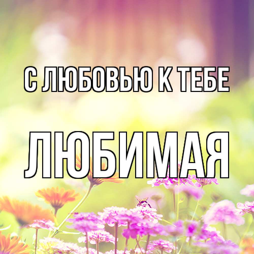 Открытка  с именем. Любимая, С любовью к тебе  
