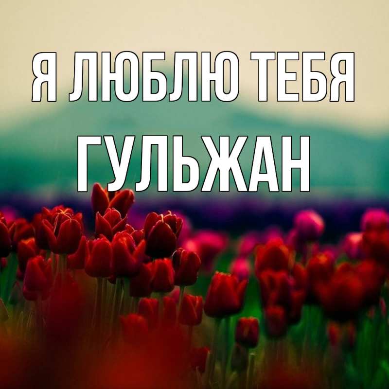 Картинка Я люблю тебя, Гульжан