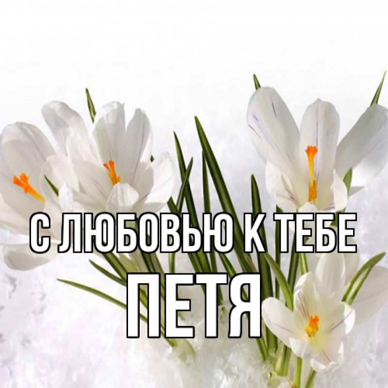 Картинка С любовью к тебе, Петя