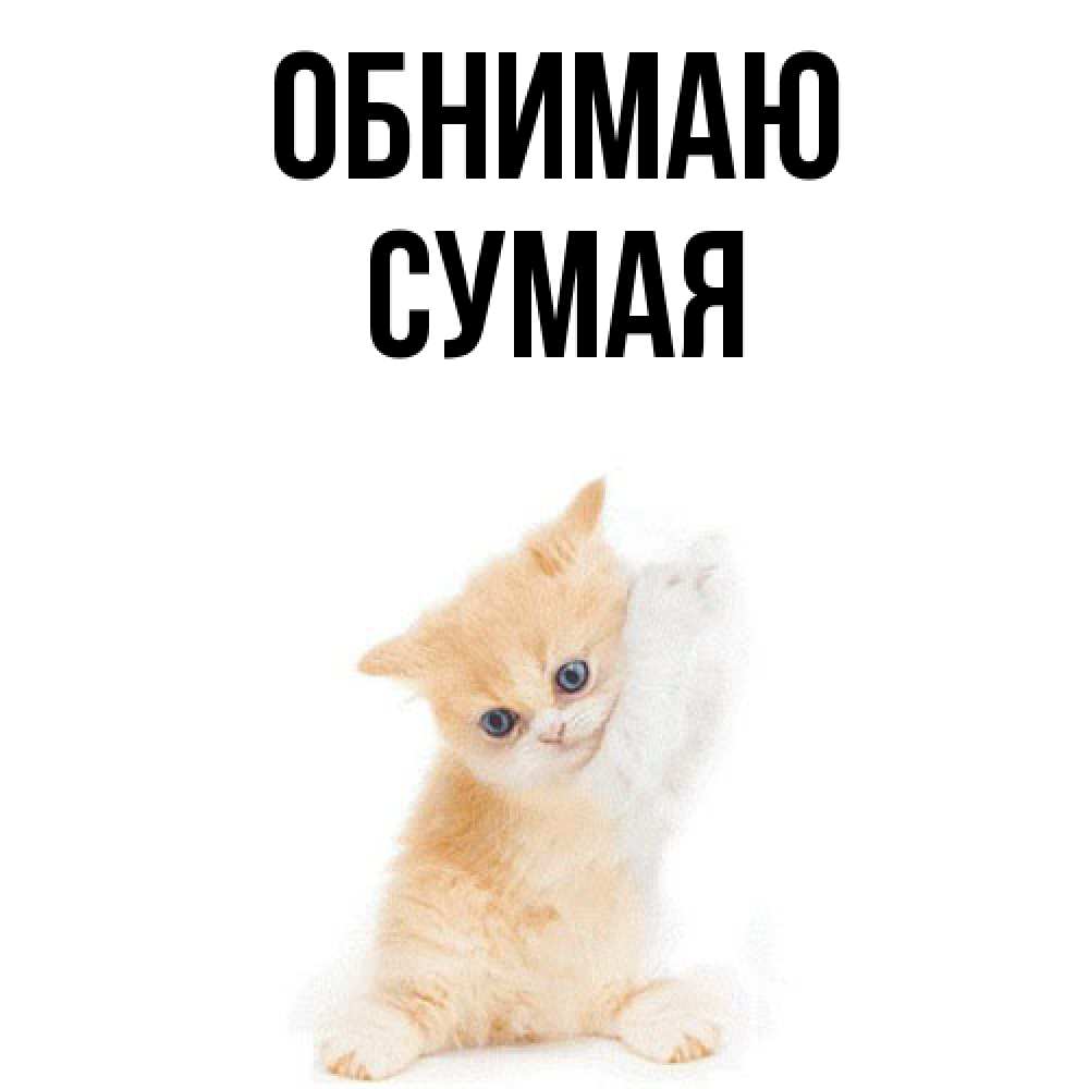 Открытка  с именем. Сумая, Обнимаю  