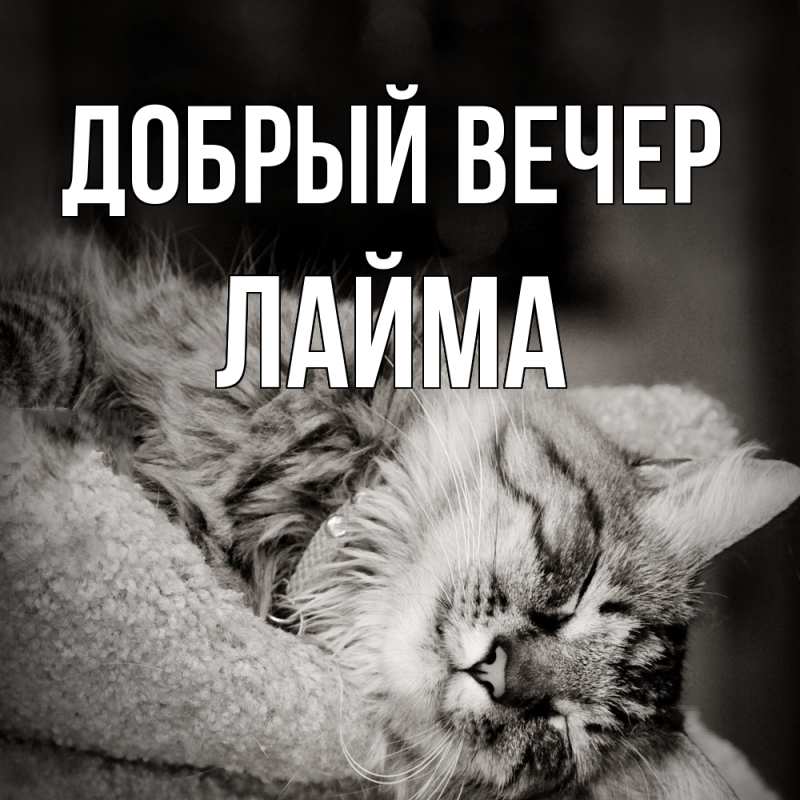 Картинка Добрый вечер, Лайма