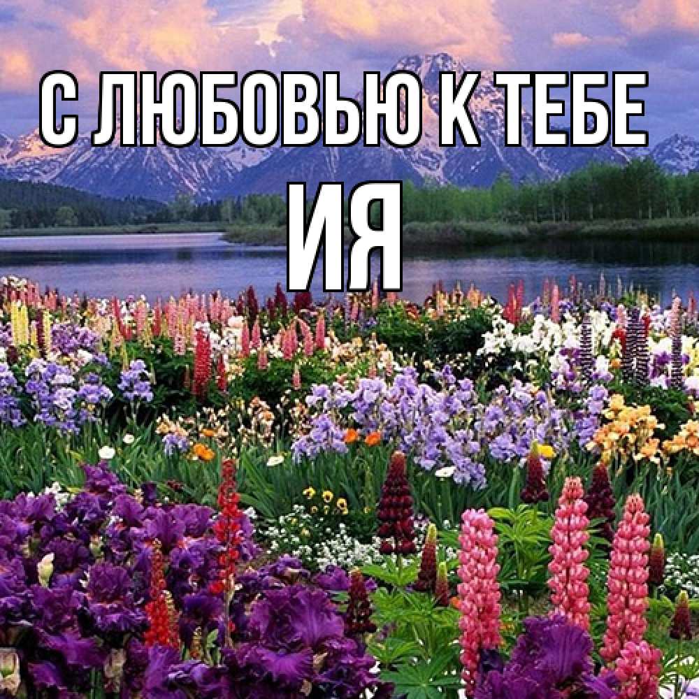 Открытка  с именем. Ия, С любовью к тебе  