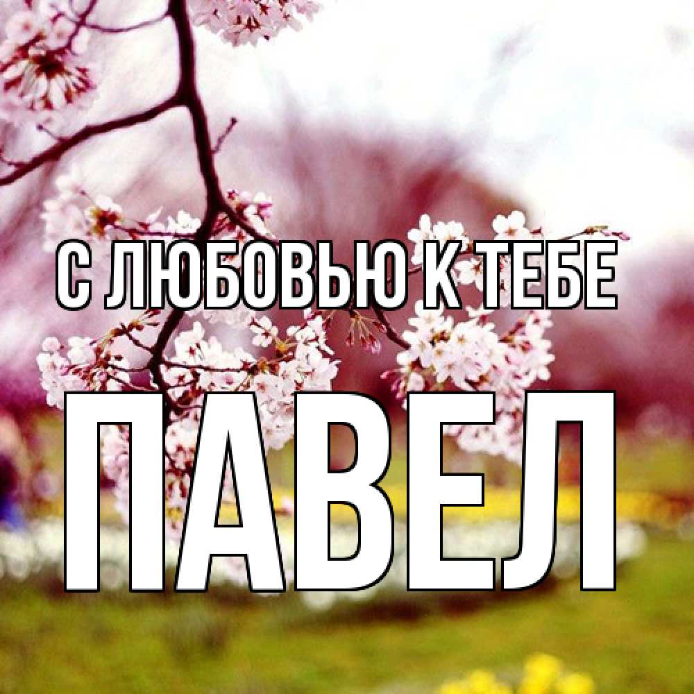 Открытка  с именем. Павел, С любовью к тебе  
