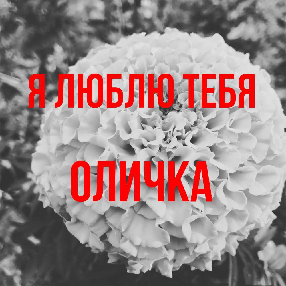 Открытка  с именем. Оличка, Я люблю тебя  