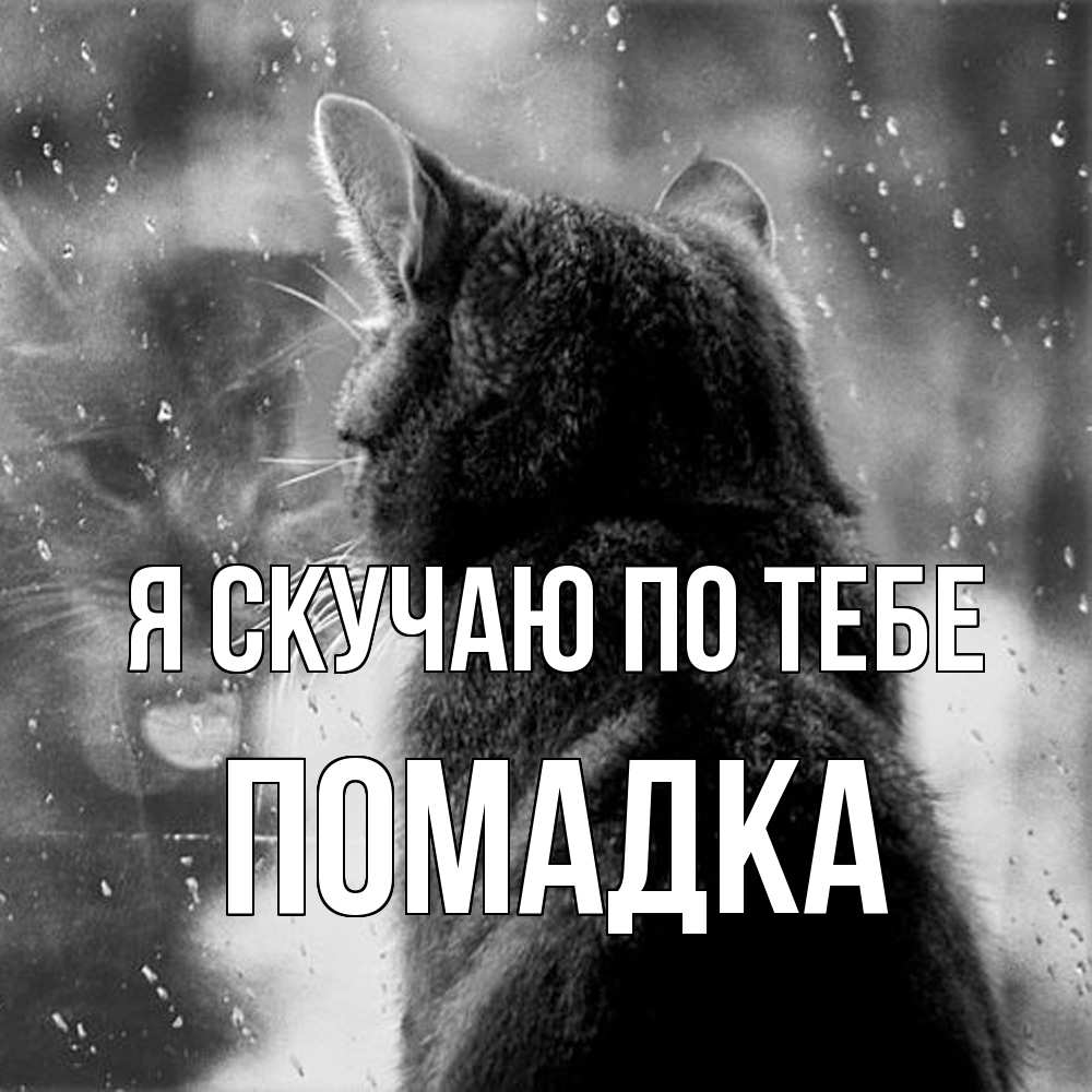 Открытка  с именем. Помадка, Я скучаю по тебе  