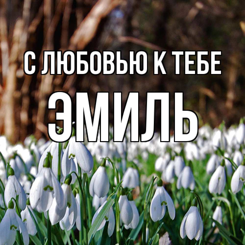 Открытка  с именем. Эмиль, С любовью к тебе  