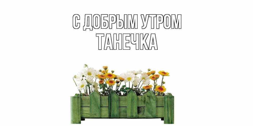 Открытка  с именем. Танечка, С добрым утром  