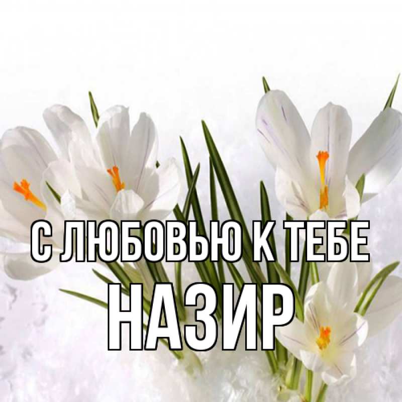 Картинка С любовью к тебе, Назир