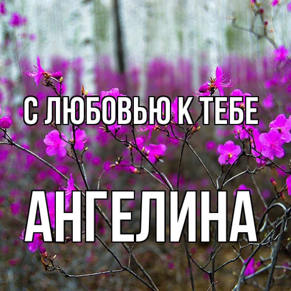 Открытка  с именем. Ангелина, С любовью к тебе  