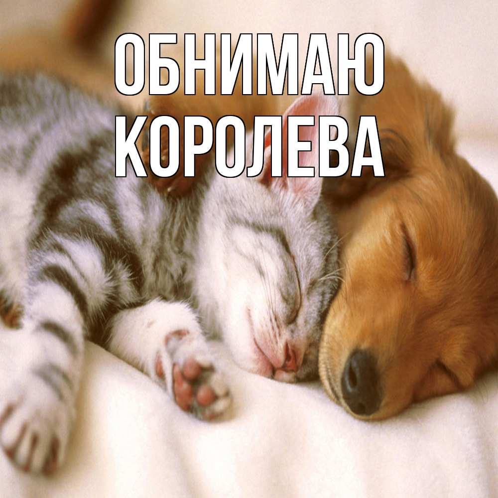 Открытка  с именем. Королева, Обнимаю  