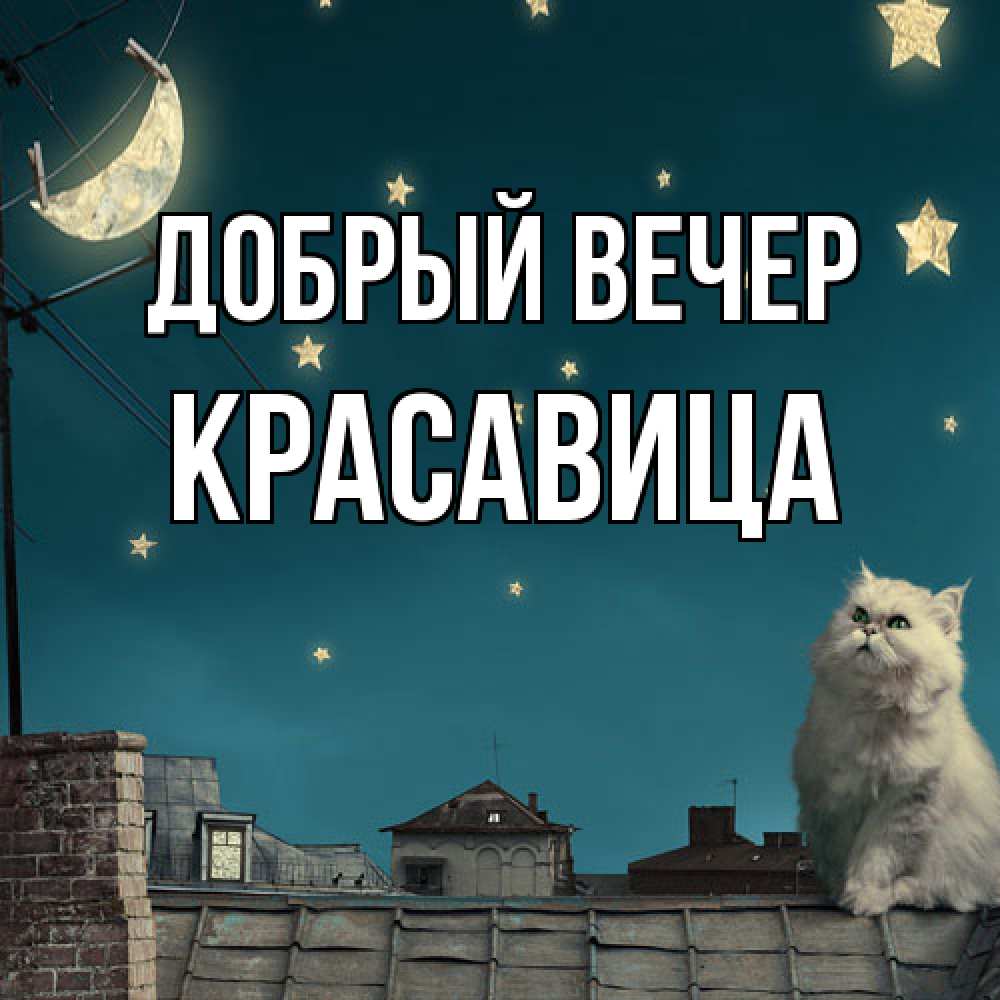 Открытка  с именем. Красавица, Добрый вечер  
