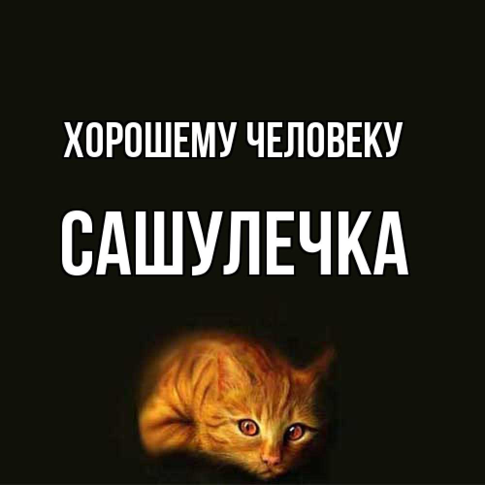 Открытка  с именем. Сашулечка, Хорошему человеку  