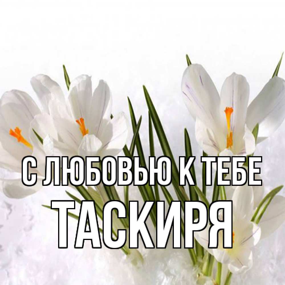 Открытка  с именем. Таскиря, С любовью к тебе  