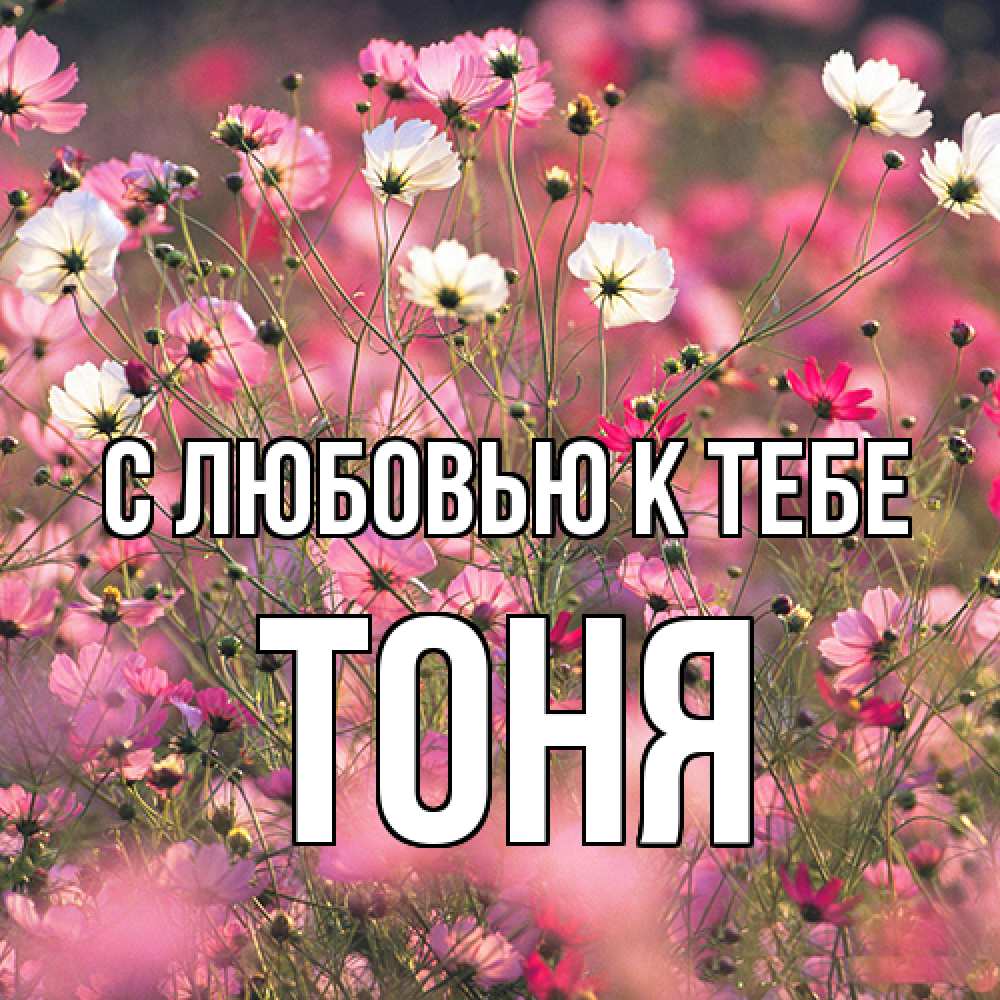 Открытка  с именем. Тоня, С любовью к тебе  