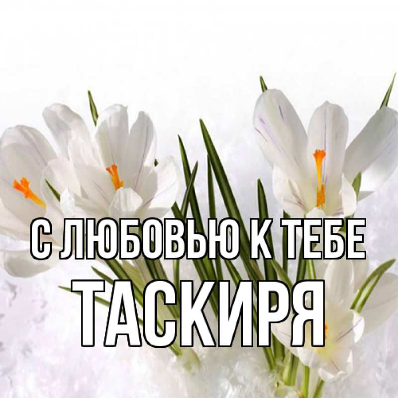 Картинка С любовью к тебе, Таскиря
