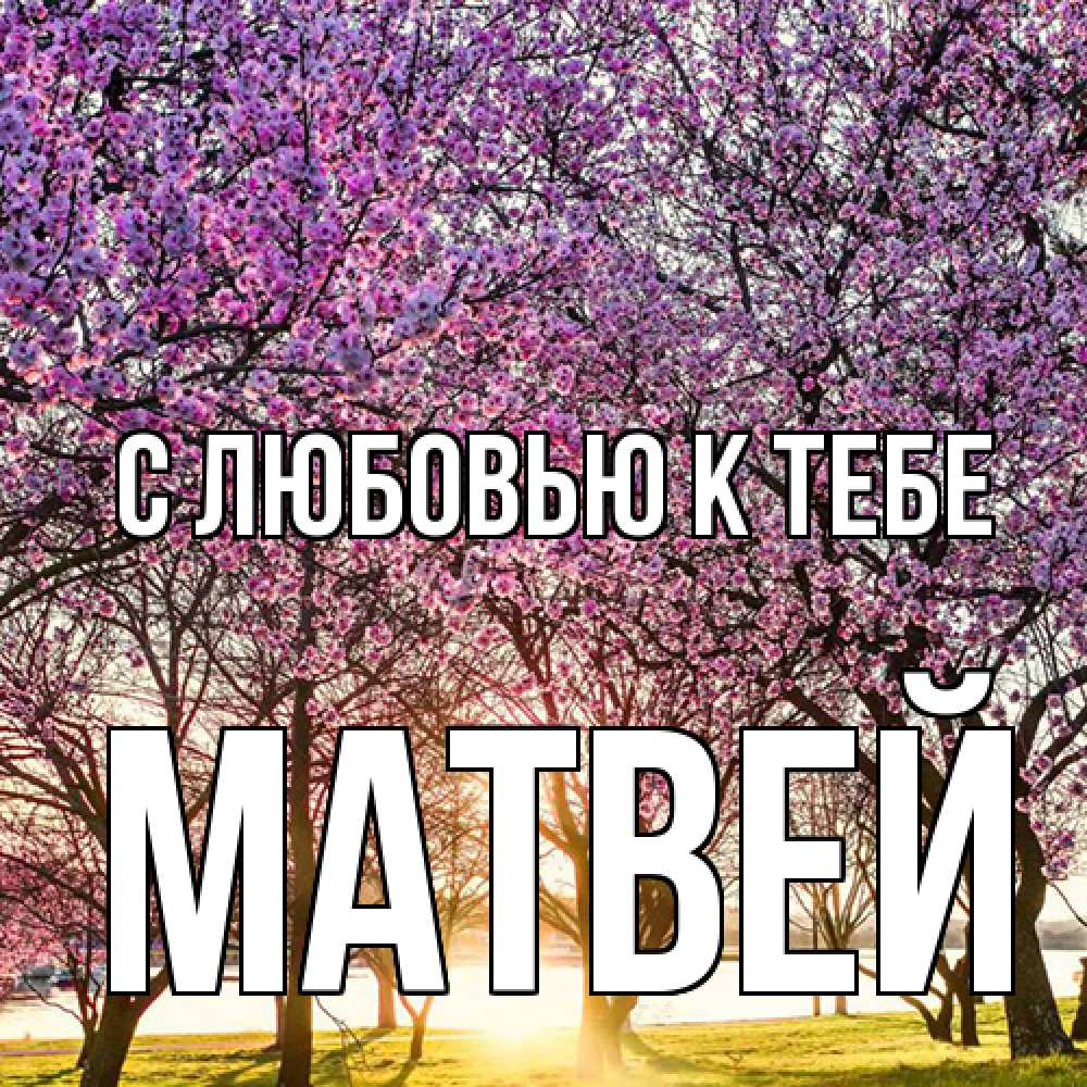 Открытка  с именем. Матвей, С любовью к тебе  