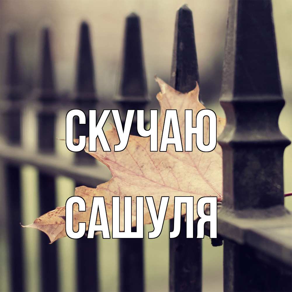 Открытка  с именем. Сашуля, Скучаю  