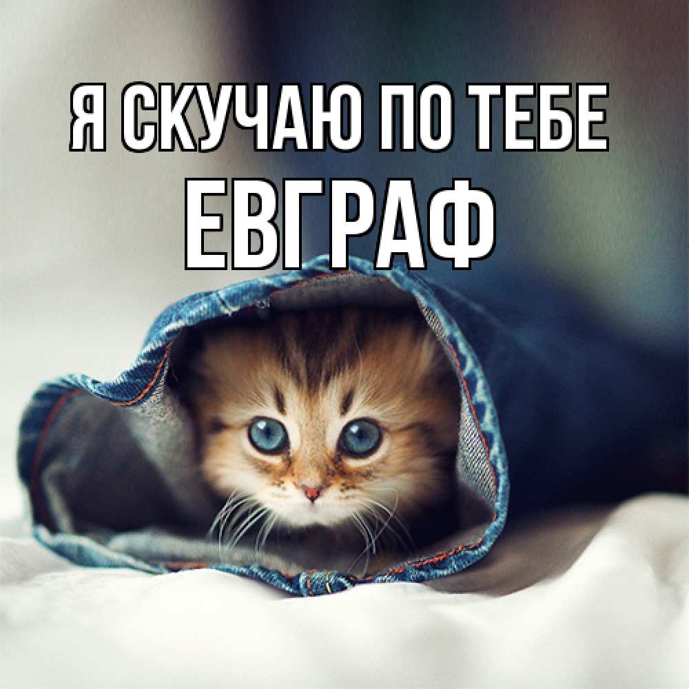 Открытка  с именем. Евграф, Я скучаю по тебе  