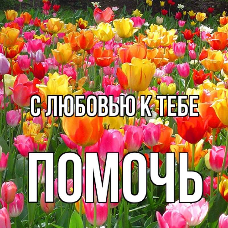 Картинка С любовью к тебе, Помочь