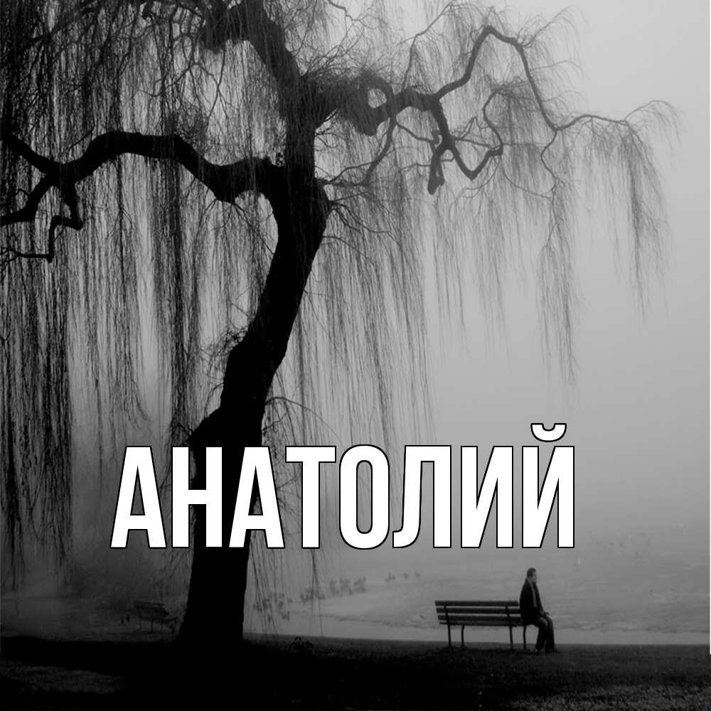Открытка  с именем. Анатолий, Главная  