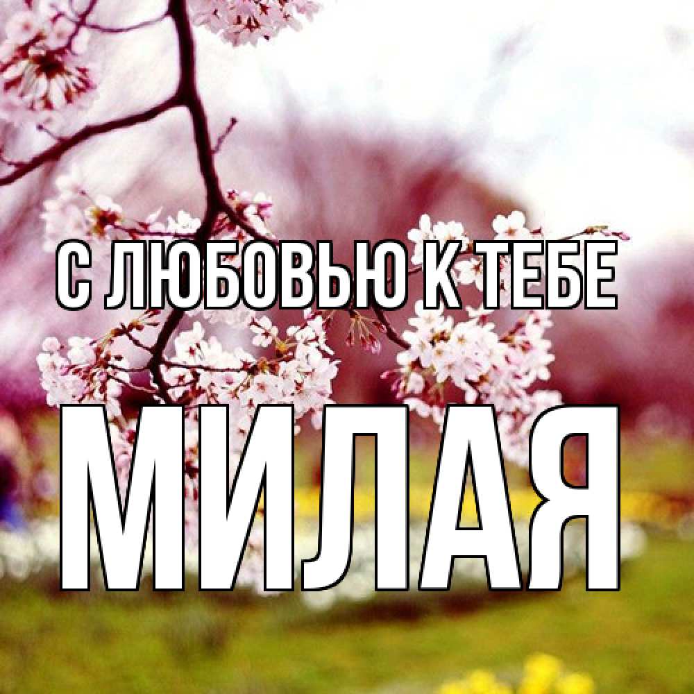 Открытка  с именем. МИЛАЯ, С любовью к тебе  