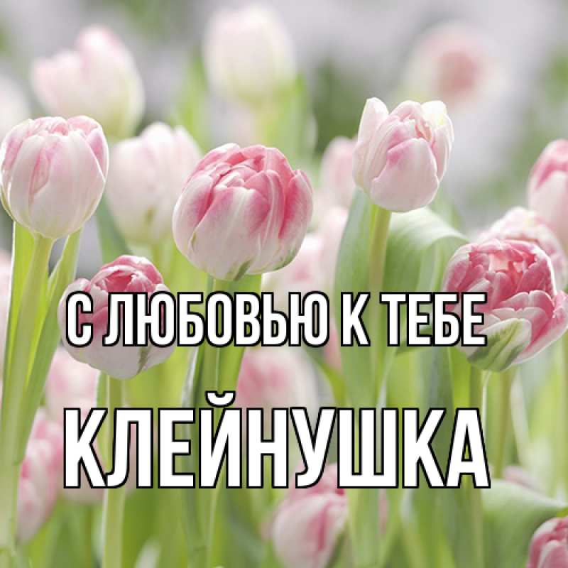 Картинка С любовью к тебе, Клейнушка