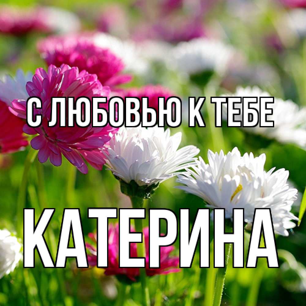 Открытка  с именем. Катерина, С любовью к тебе  