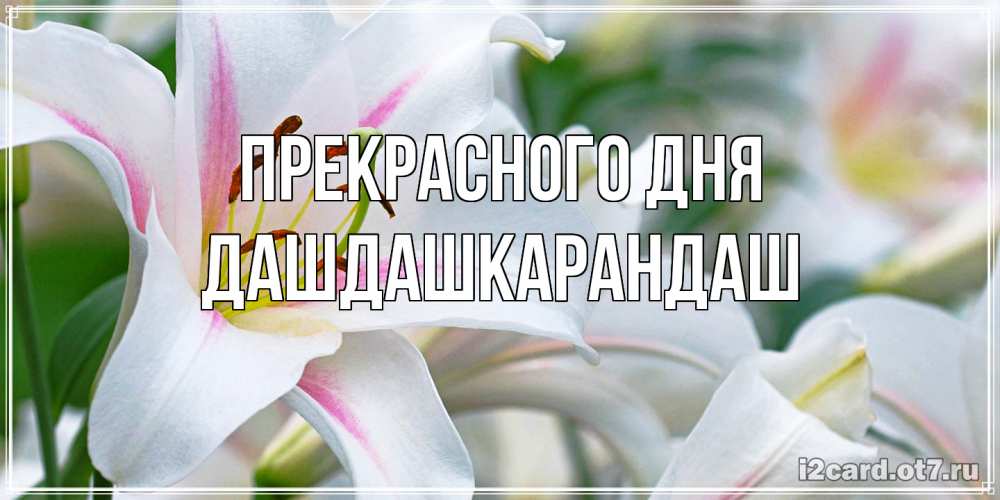 Открытка  с именем. Дашдашкарандаш, Прекрасного дня  