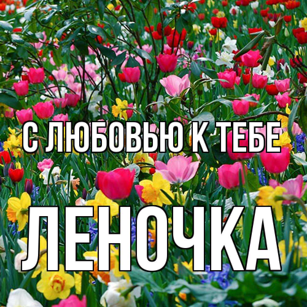 Открытка  с именем. ЛЕНОЧКА, С любовью к тебе  