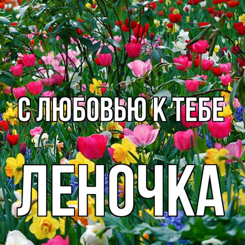 Картинка С любовью к тебе, ЛЕНОЧКА