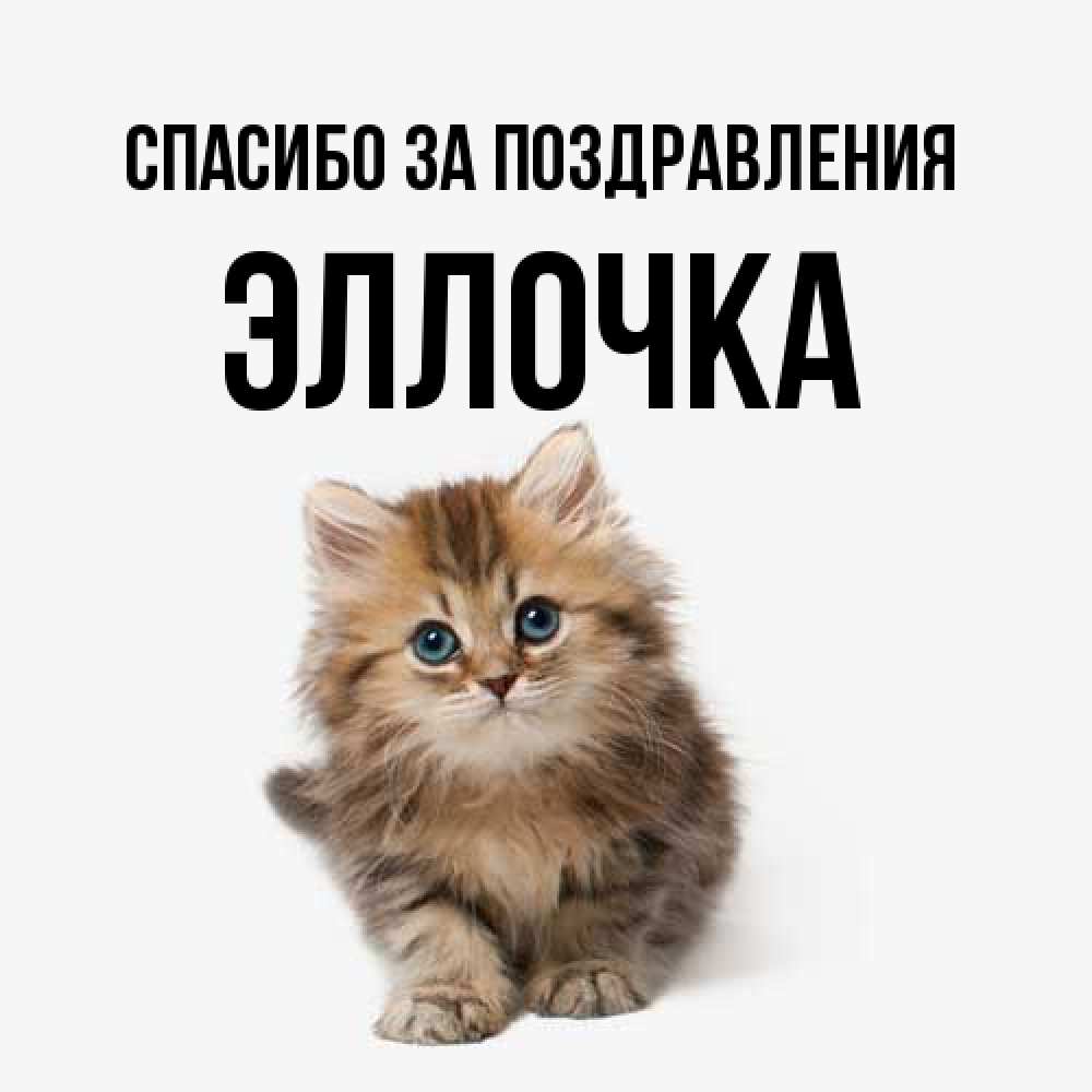 Открытка  с именем. Эллочка, Спасибо за поздравления  