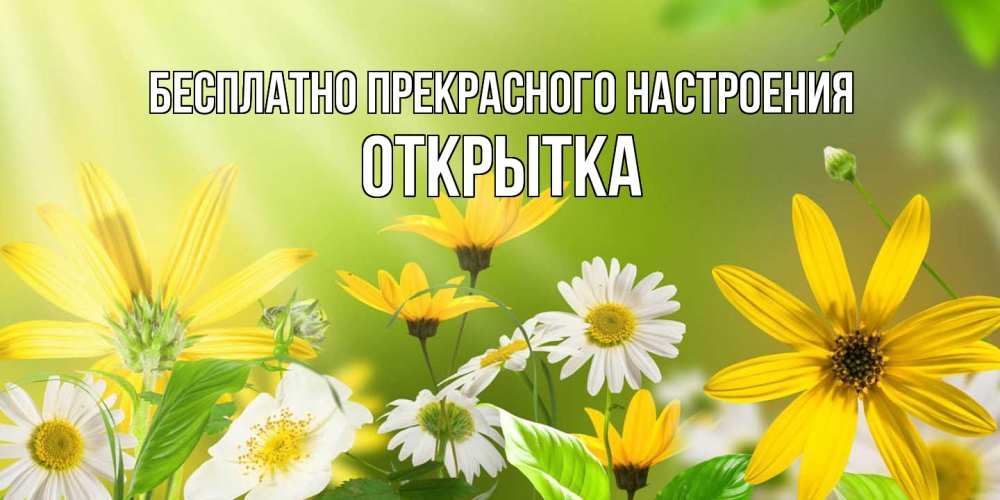 Открытка  с именем. открытка, Прекрасного настроения  