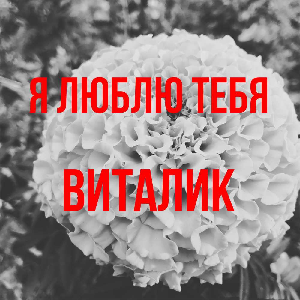 Открытка  с именем. Виталик, Я люблю тебя  