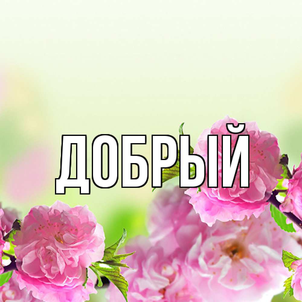 Открытка  с именем. Добрый, Главная  