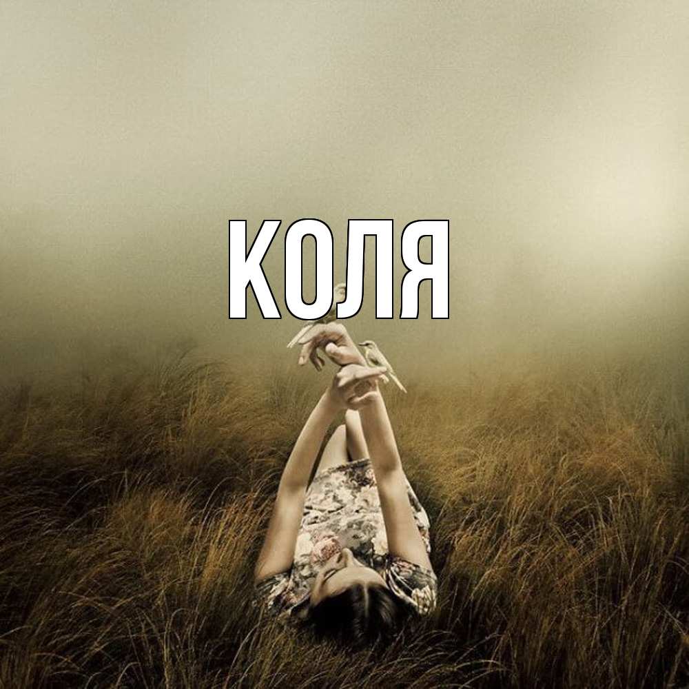 Открытка  с именем. коля, Главная  