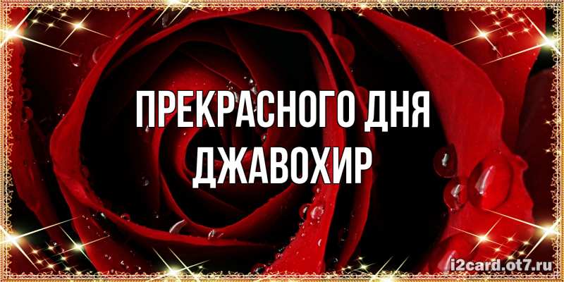 Картинка Прекрасного дня, Джавохир