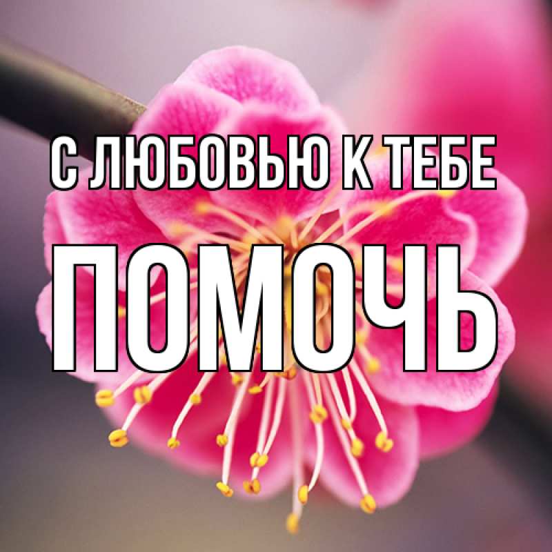 Картинка С любовью к тебе, Помочь