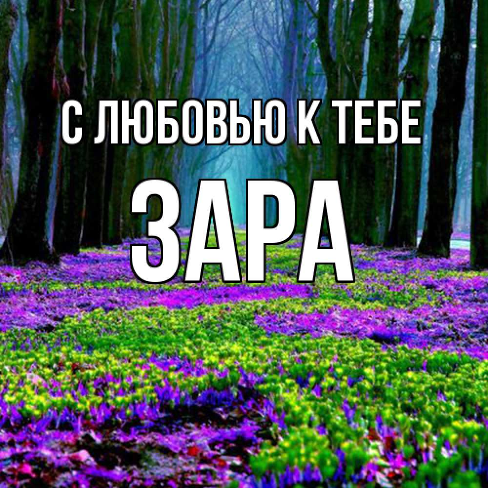 Открытка  с именем. Зара, С любовью к тебе  