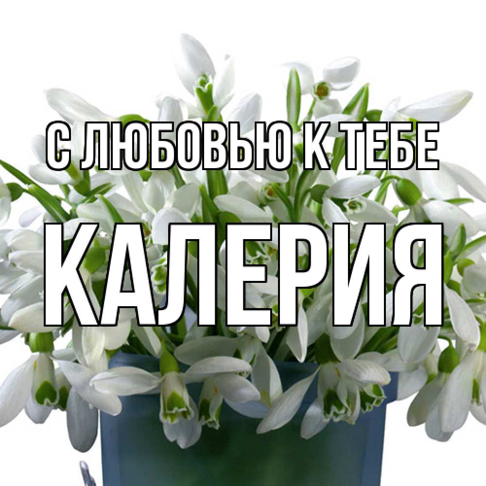 Открытка  с именем. Калерия, С любовью к тебе  