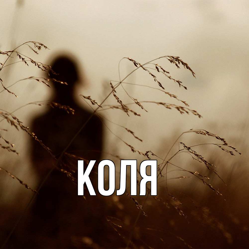 Открытка  с именем. коля, Главная  