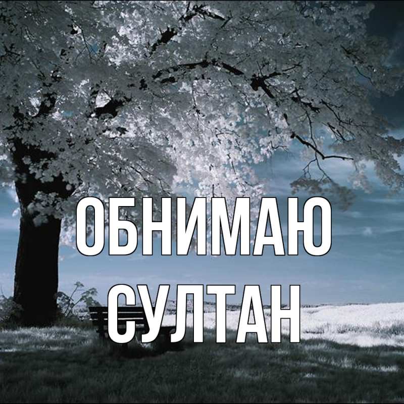 Картинка Обнимаю, Султан