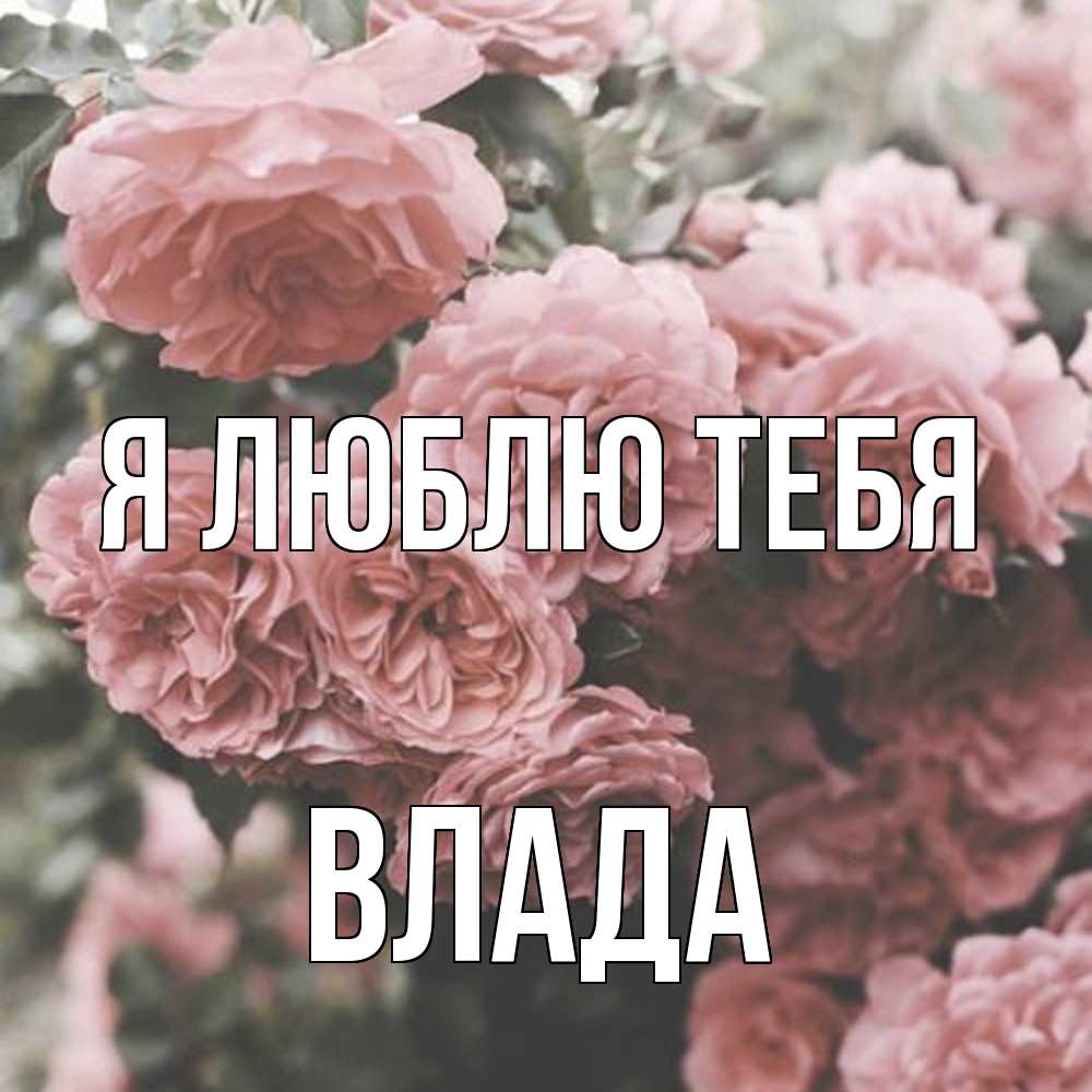 Открытка  с именем. Влада, Я люблю тебя  