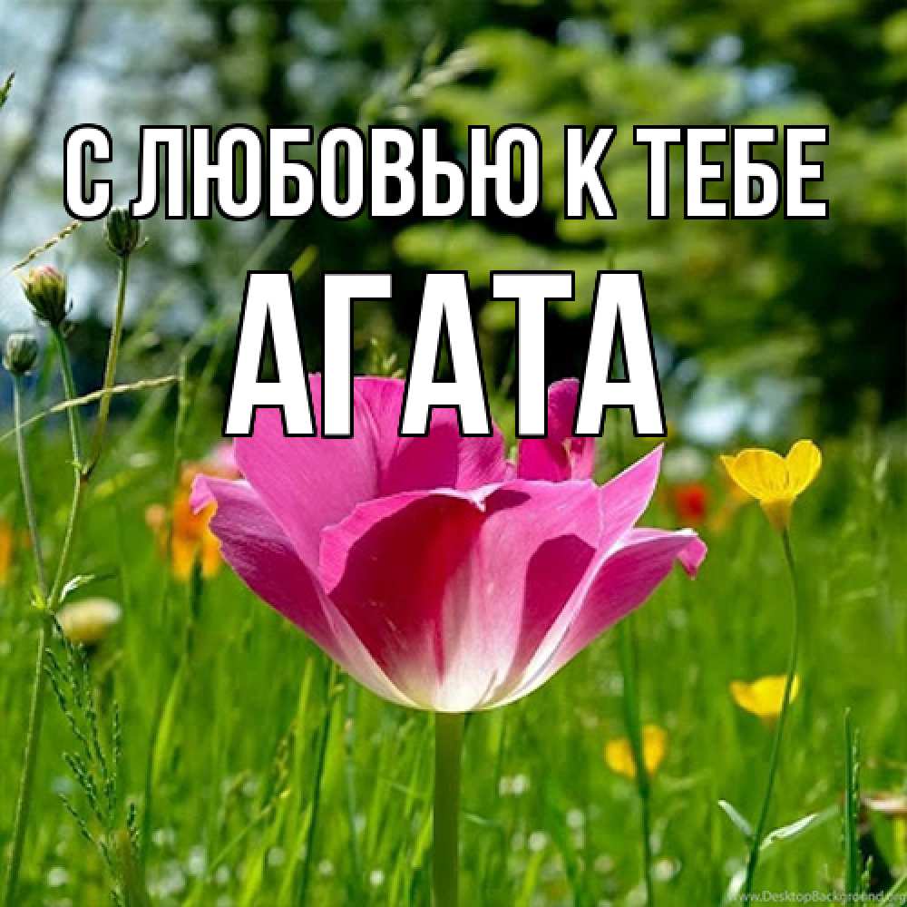 Открытка  с именем. Агата, С любовью к тебе  