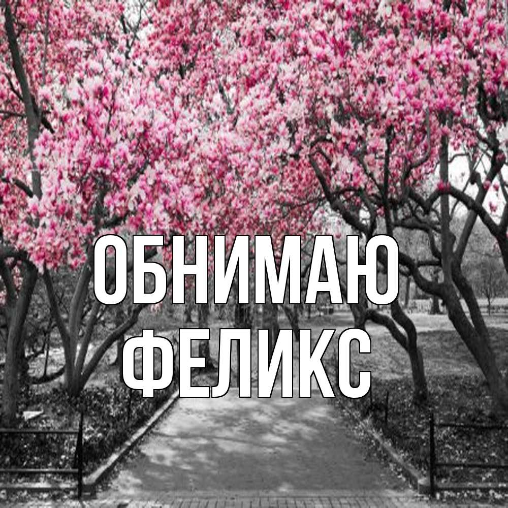 Открытка  с именем. Феликс, Обнимаю  