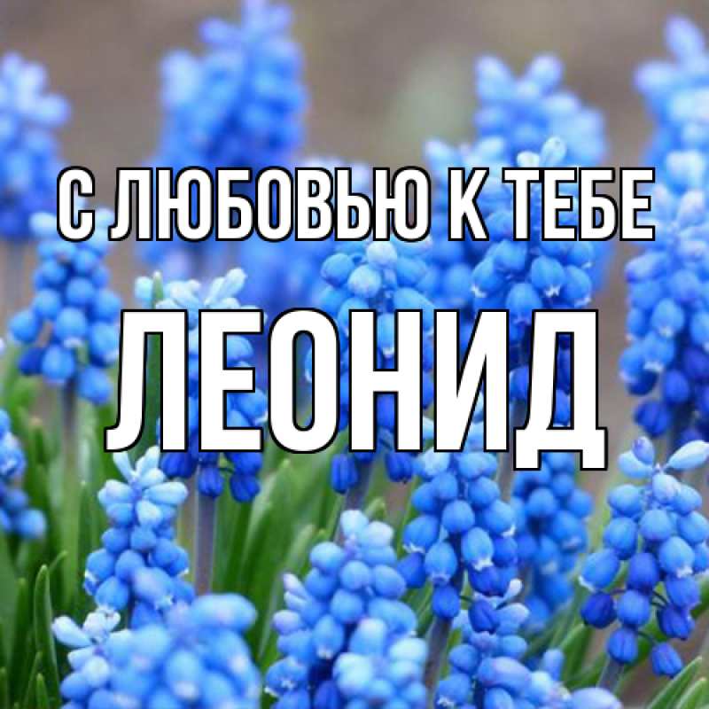 Картинка С любовью к тебе, Леонид